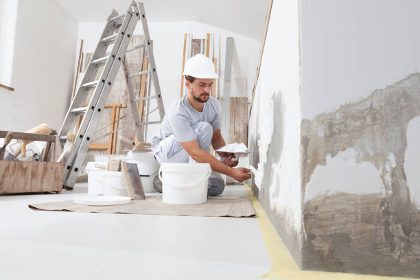 Best Attic Mold Removal  in Biltmore Forest, NC