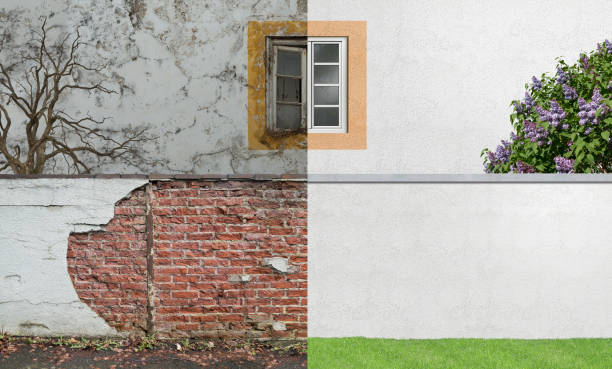  Biltmore Forest, NC Mold Removal Pros