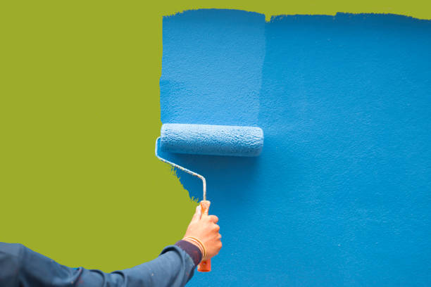 Biltmore Forest, NC Mold Removal Company