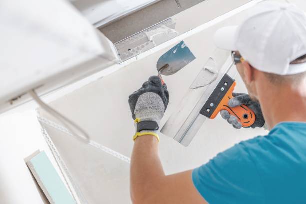Best Mold Remediation for Healthcare Facilities  in Biltmore Forest, NC